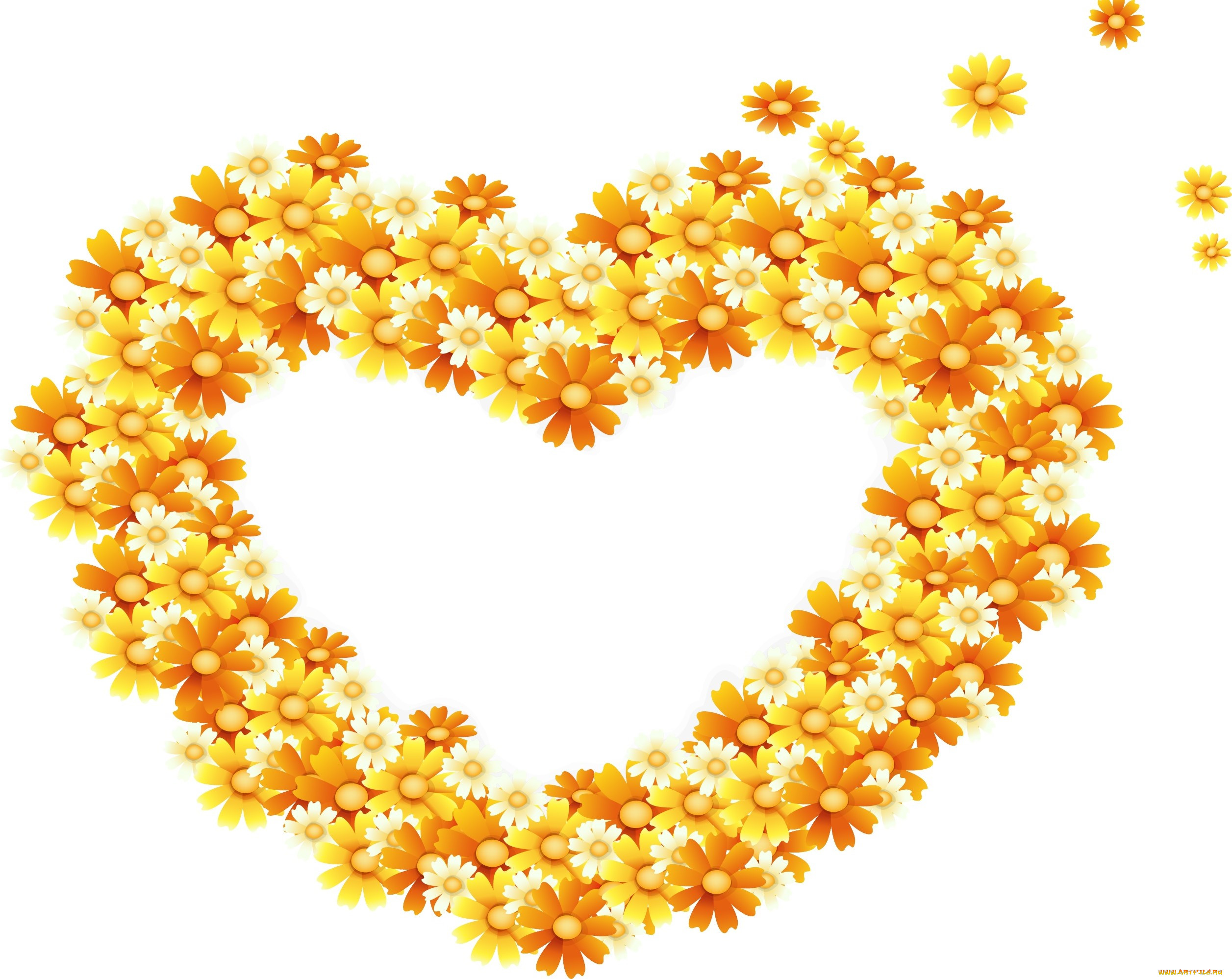  ,  , flowers, , 